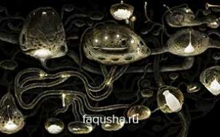 Samorost 3 прохождение
